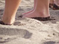 Sandf��e, Los Rubios